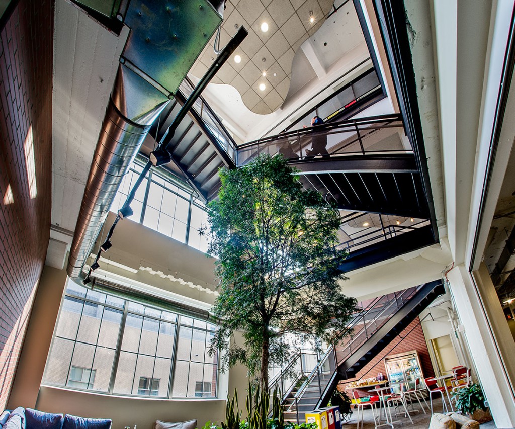 Google-Cafe_Common-Stairwell