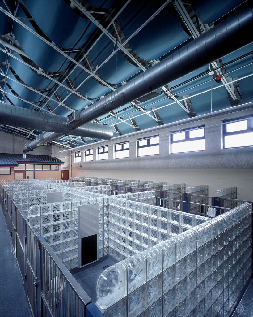 Western-PA-Humane-Society-Kennels