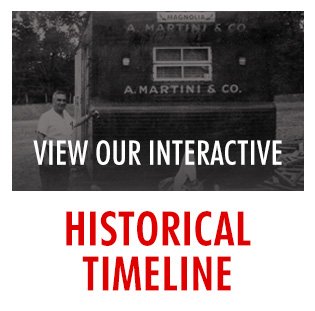 Historical Timeline Image Button